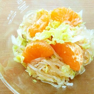 温州みかん・シャキシャキ白菜の春雨サラダ